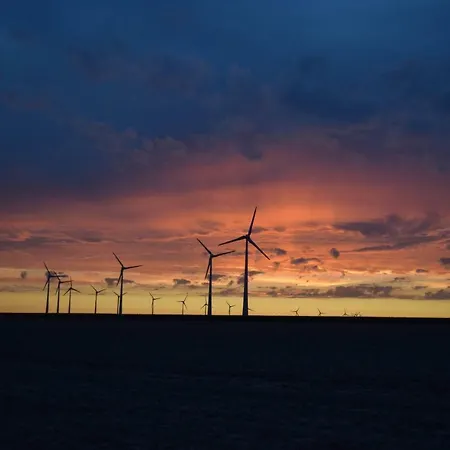 Ferme Du Lin : Angelin