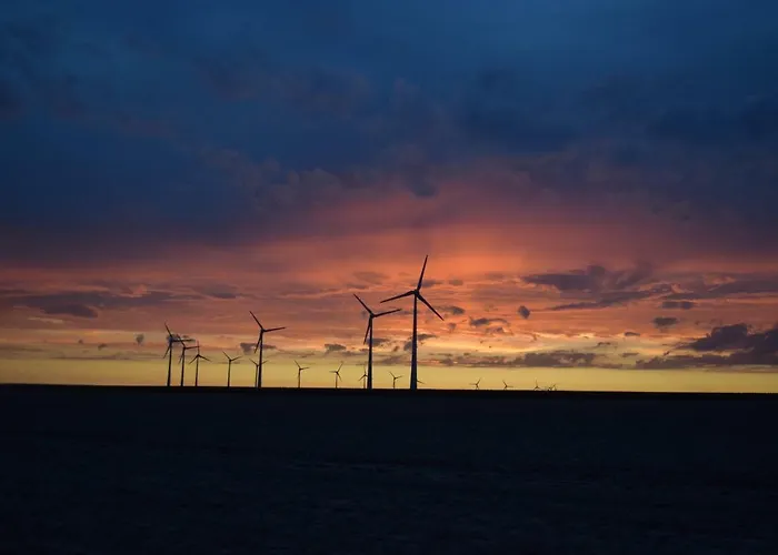 Ferme Du Lin : Angelin